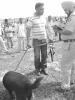 Police and the dog squad at the site where the body was found near the Balongi area