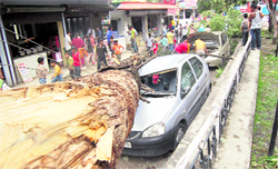 A car damaged by an uprooted tree at the Sahastradhara tourist spot near Dehradun on Monday