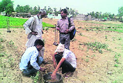 Work on soil mapping in progress at a village in Nuh district. 