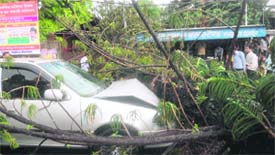 A car under a tree at the Behl Chowk.