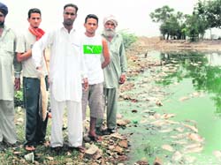 Residents stand near the pond where thousands of fish have died in Akhara village.