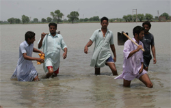 Farmers wading through the water that gushed in their fields after a breach in the Phul distributary in Bathinda 