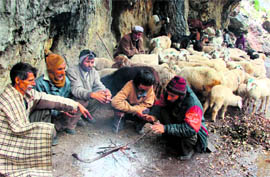 While people in the plains are reeling under intense heat, cold weather forces shepherds to lit bonfire in the paddar area of Kishtwar