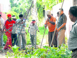 The enforcement staff of the municipal corporation remove temporary structures of dhobis in Sector 11, Chandigarh, on Saturday