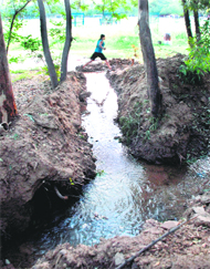 Drinking water has been flowing uncontrolled for the past one week in Government Model Senior Secondary School, Sector 23, Chandigarh, from a leaking pipeline.