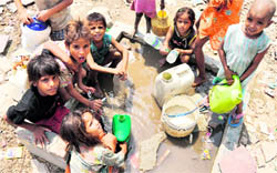 Slum children gather to fetch potable water from a tap in Ludhiana on Sunday