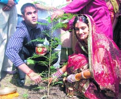 A newly-wed couple plant a sapling as per the "maiti" tradition in Dehradun on Monday