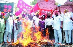 Activists of the CPM burn an effigy of the UPA government protesting fuel price hike in Amritsar