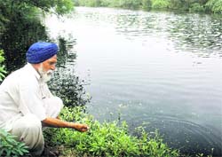 A farmer points to polluted water in the Lisada 