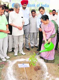 Deepti Sahai, General Manager, SBI, waters a sapling, as Pawan Kumar Bansal, Cabinet Minister for Parliamentary Affairs and Water Resources, looks on during a tree plantation drive launched by the bank in Chandigarh