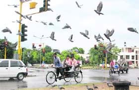 Relief from heat: People enjoy the weather after rain in Chandigarh