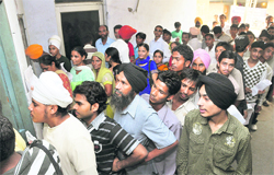 Candidates queue up at Punjab Bhawan in Ludhiana on Thursday. 