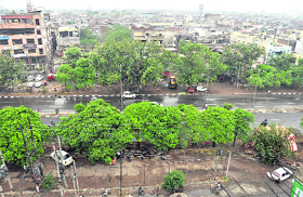 Ludhiana wears a clean look after showers washed the dust off the surroundings on early Thursday morning.