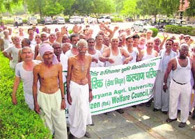 Retired employees of Haryana Agricultural University hold a protest against non-payment of pension at Hisar
