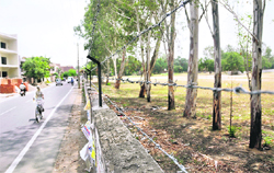 Barbed fencing outside SCD Government College to keep anti-social elements at bay in Ludhiana.