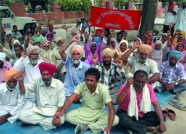 Members of Forest Department Field Workers Union staging dharna outside the Mini-secretariat in Bathinda on Saturday