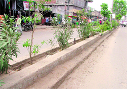 The existing divider at Shivpuri in Ludhiana