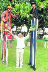 Tribune lensman Vinay Malik captures various moods at the Mango Festival in Pinjore on Saturday