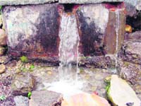 the gushing spring water near Murrey Pump after fresh rains lashed Mussoorie on Sunday.