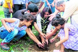 Vounteers of Kaash Society plant saplings in Dehradun on Sunday