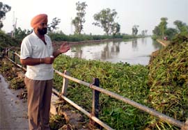 An irrigation official informing about the menace of hyacinth in Abohar branch of Sirhind canal, at a bridge located on the Malout-Muktsar road