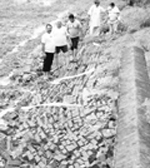 The boundary wall of Chandigarh Apartments collapsed following rain at Dera Bassi 