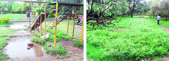 Broken swings and water puddles can be seen at the Gandhi Park in Dehradun and (right) a morning walker walks past a patch of wild growth of weeds in the park