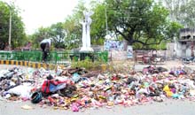 As MC employees give work a miss owing to bandh, garbage lies scattered in the middle of the road at Plaza Chowk in Jalandhar on Monday. 