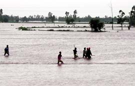 The Ghaggar overflows at Ghanaur village on Tuesday