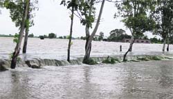 Inundated fields in Fatehgarh Sahib villages