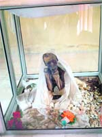 The mummy in a glass case