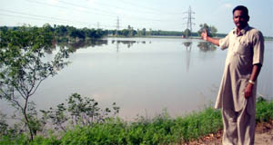  Fields in Phillaur flooded with rainwater.