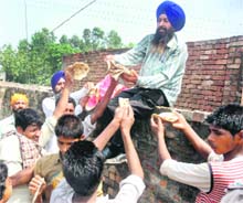 A social worker distributes food among flood-affected persons in Badshahpur village in the Patran area on Friday. 