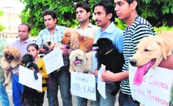 Members of the Pet Lovers Association protest against the pet dogs bylaws-2010 at Sector 22 in Chandigarh on Saturday.