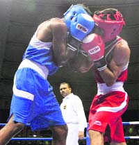 Andhra Pradesh boxer S Ramu (blue) and his opponent Vikash of Chandigarh at a bout during the 57th Senior Men's Boxing Championship in New Delhi on Saturday.