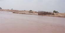 Ghaggar river water has forced suspension of overbridge construction on Tibbi-Sangaria road. 