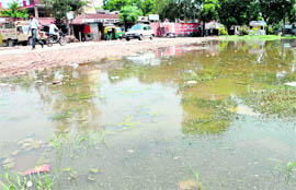 Rainwater accumulated at Raipur Khurd in Chandigarh