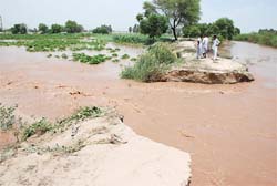 A breach occurred in Ghaggar embankment near Sardulgarh in Mansa on Sunday. 