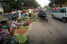 Vehicles parked near vegetable and fruit market on the Bathinda-Goniana road.