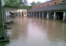 An area in Ferozepur city submerged in rain water.