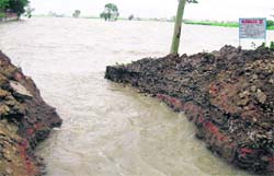 A cut made on a road a few days ago to drain out stagnant water in Fatehgarh Sahib.