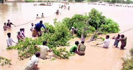 Army personnel and volunteers carry out relief and rescue work in Sardulewala village in Mansa district on Tuesday.