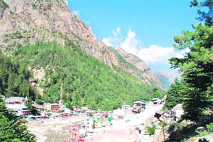 A view of plantation done at Gangotri.