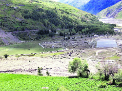 Site of proposed dam at Tandi. 