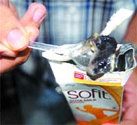 The fungus-infested soya milk in tetra pack. 