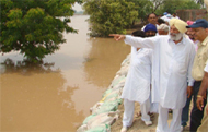 Balwinder Singh Bhunder, MP, showing Punjab Chief Secretary SC Aggarwal the damage caused due to floods during his visit to the Sardulgarh area of Mansa district