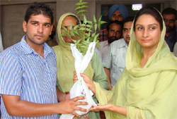 MP Harsimrat Kaur Badal giving a sapling to a student of a Bathinda village while launching a tree plantation campaign