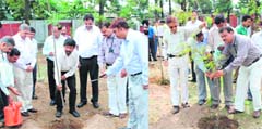 A plantation drive being undertaken by ONGC employees in Dehradun on Friday.