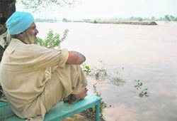 A farmer on patrol duty keeps a watch on the water level in a village in Sirsa affected by Ghaggar waters.