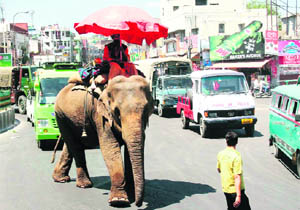 A mahaut takes cover under an umbrella to save himself from the scorching sun at Dogra Chowk in Jammu.